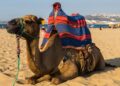 Desert Guide Trip: How To get amazing experience in Morocco Desert