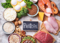 How Protein Helps Maintain a Healthy Lifestyle