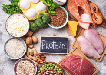 How Protein Helps Maintain a Healthy Lifestyle