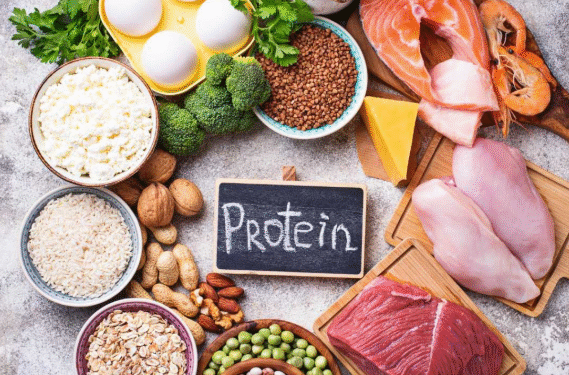 How Protein Helps Maintain a Healthy Lifestyle